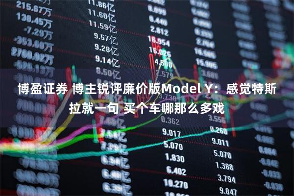 博盈证券 博主锐评廉价版Model Y：感觉特斯拉就一句 买个车哪那么多戏