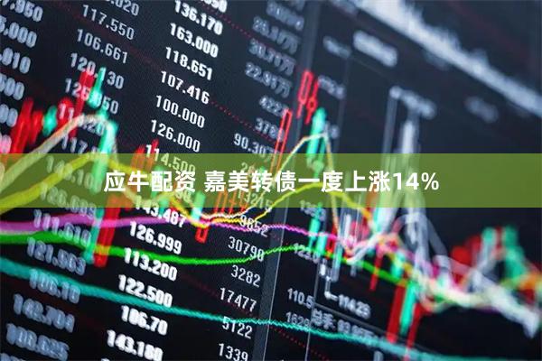 应牛配资 嘉美转债一度上涨14%