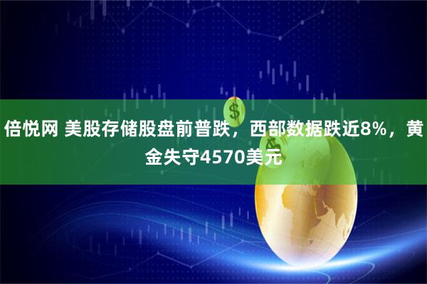倍悦网 美股存储股盘前普跌，西部数据跌近8%，黄金失守4570美元